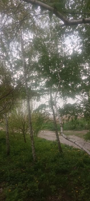 Продам будинок смт Гребінки Білоцерківський район Київська область