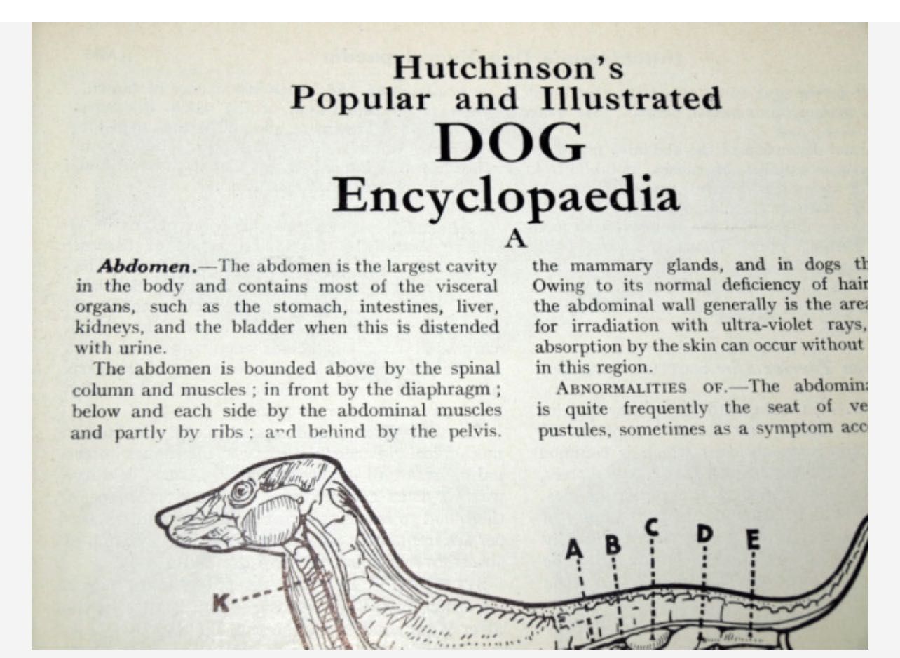 3-tomowa ENCYKLOPEDIA PSÓW Hutchinsona. Londyn 1935