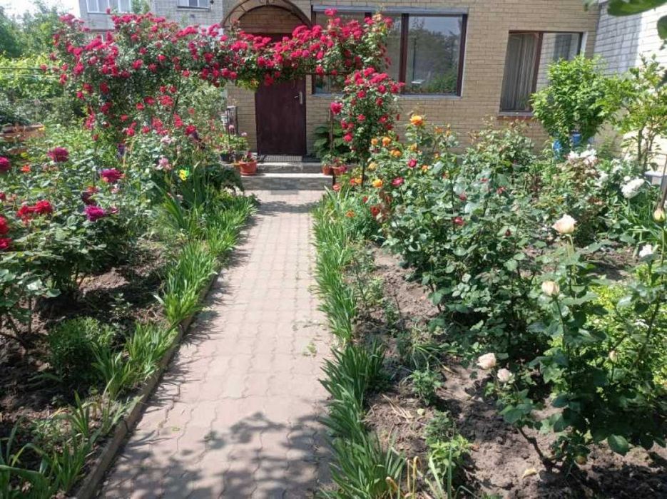 Простора 3-кімнатна квартира з окремим входом та власним двориком.