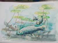 Obraz Akwarela ryby