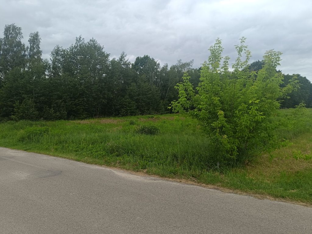 Działka budowlana 11 arów Pryszczowa Góra gm. Niemce 15 min od Lublina