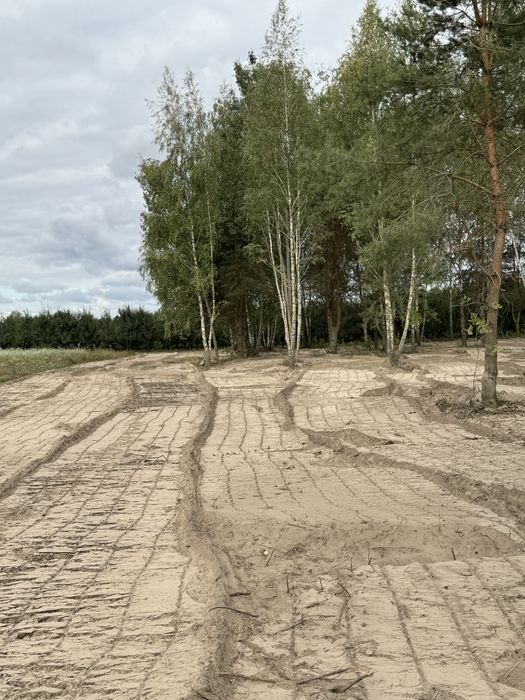Mulczer wgłębny Rębak Czyszczenie działek Rekultywacja Karczowanie