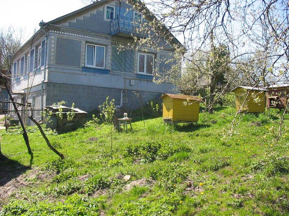 Продам будинок з фундуковим бізнесом