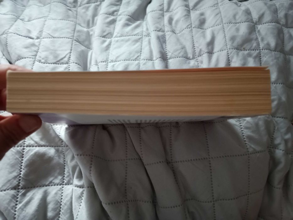 " Przed świtem" D.Palmer, romans