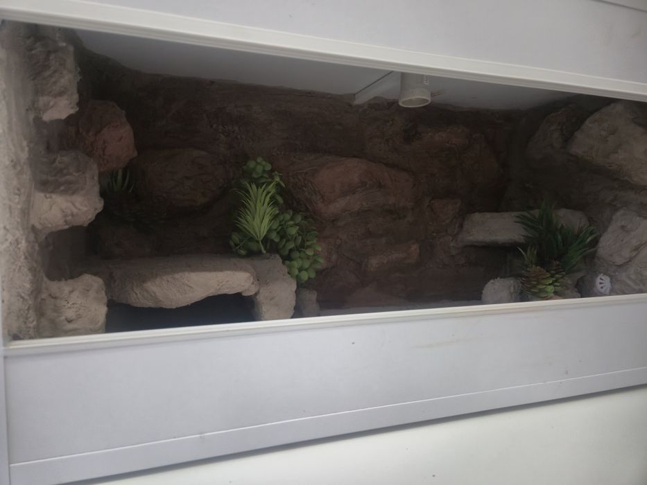 Nowe Gotowe Terrarium 80x40x40