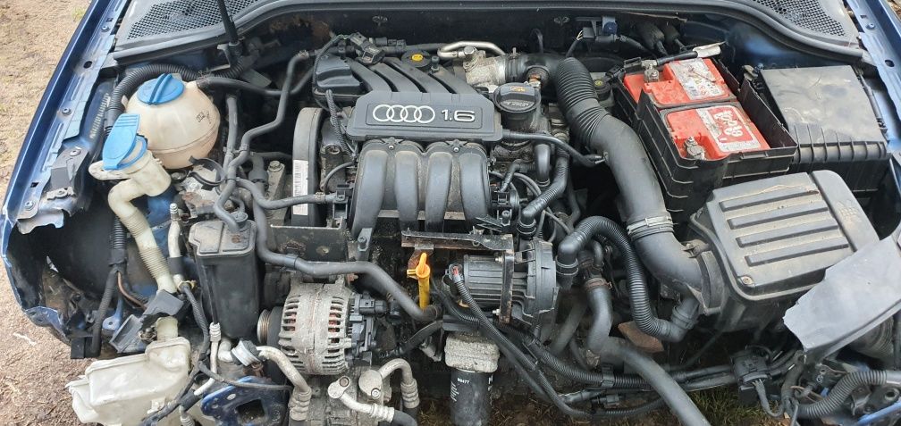 Audi a3 8p 1.6 BGU skrzynia manual FUH części blask Gołdap