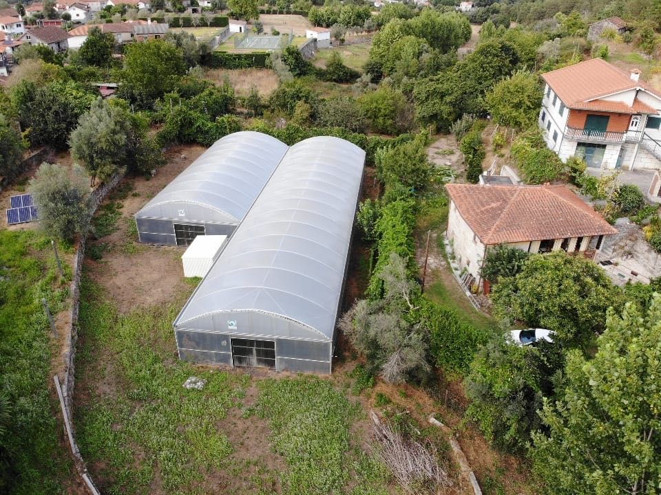 Estufas agrícolas (1000m2)