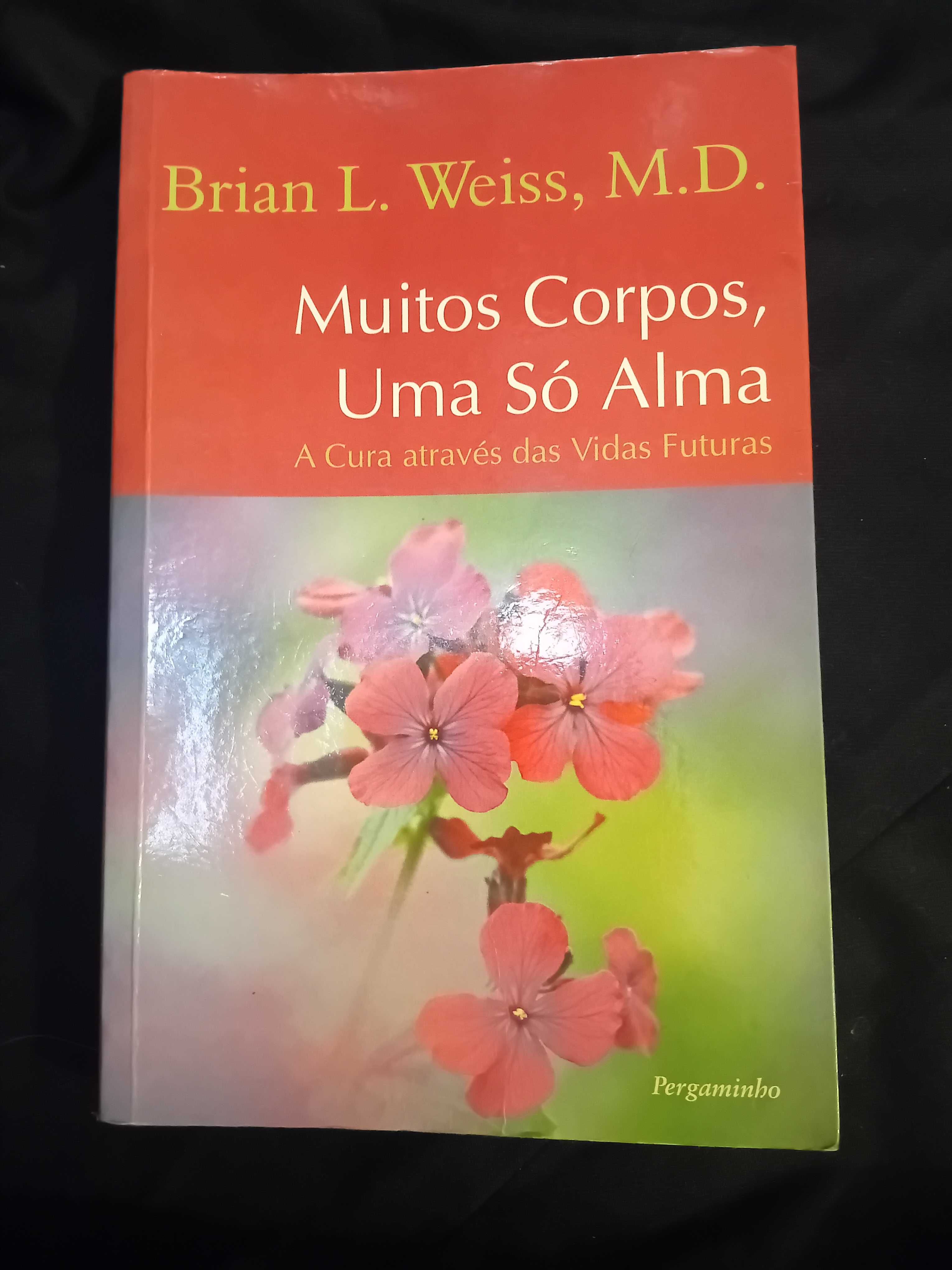 “ Muitos corpos , uma só alma “ Brian Weiss