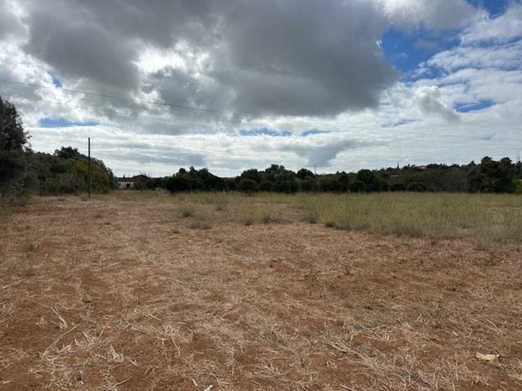 Quinta para recuperar com 22.480m² em Moncarapacho – a 5 min da Fuseta