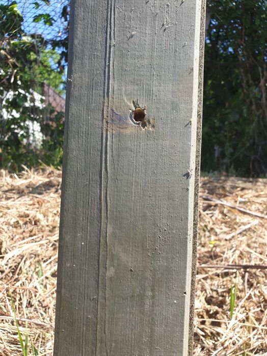 Дошки з борта кузова авто