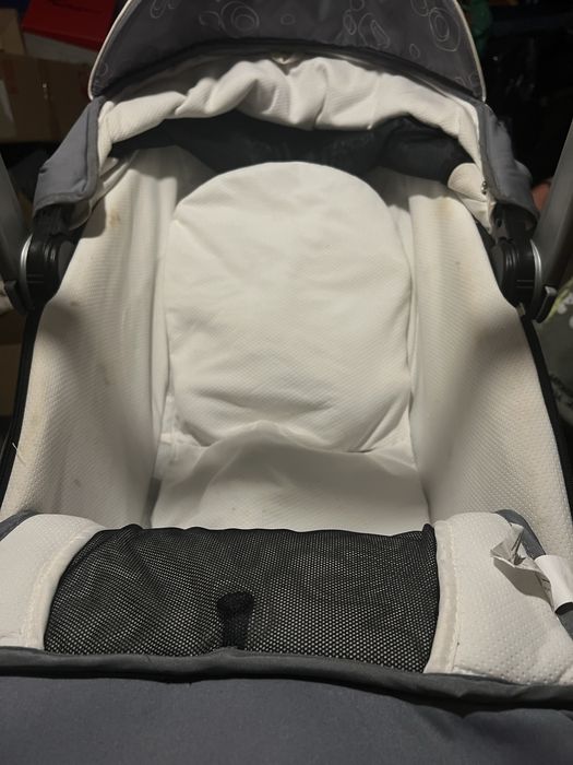 Alcofa chicco living