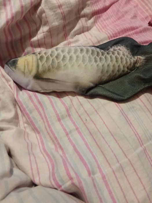 Игрушка рыба на usb для животных