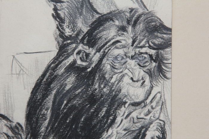 Desenho em carvão vegetal do artista Holandês Van Laere - 1943