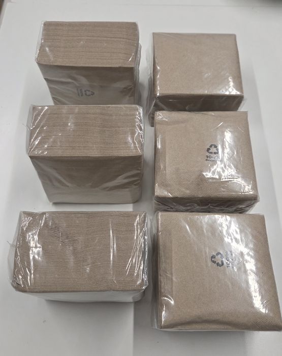 Serwetki papierowe z recyklingu 100szt w paczce