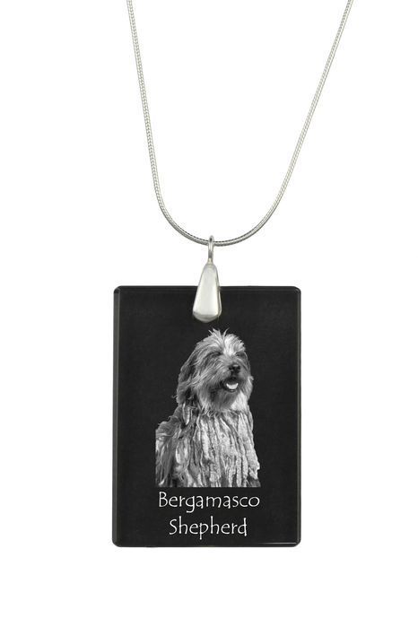 Bergamasco naszyjnik kryształowy z psem Art-Dog