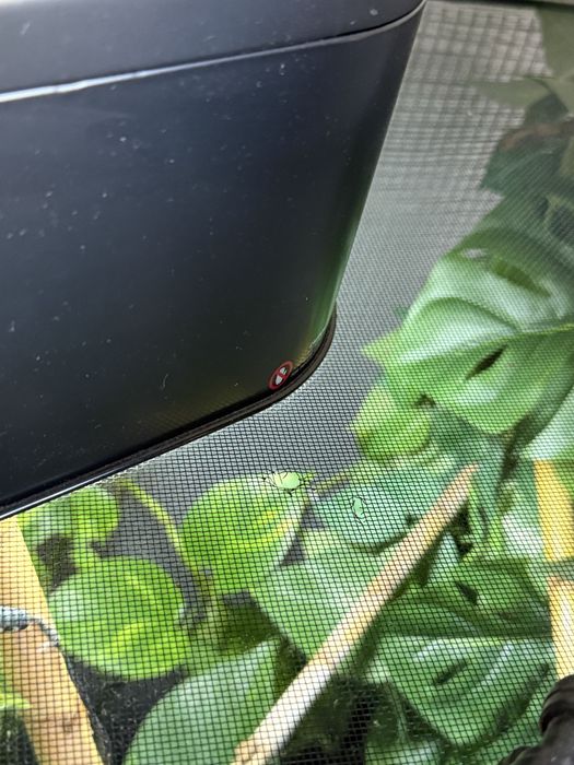 Terrário 1,22cm para camaleão com base com rodas