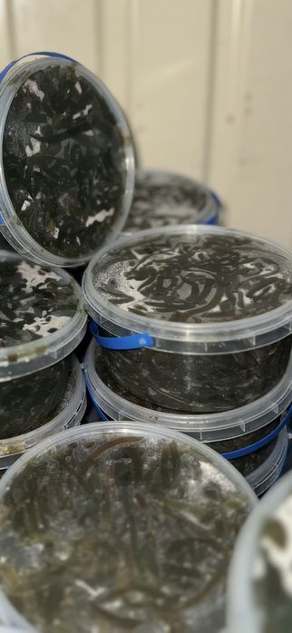 Соління,Салати по - корейськи,ОПТ