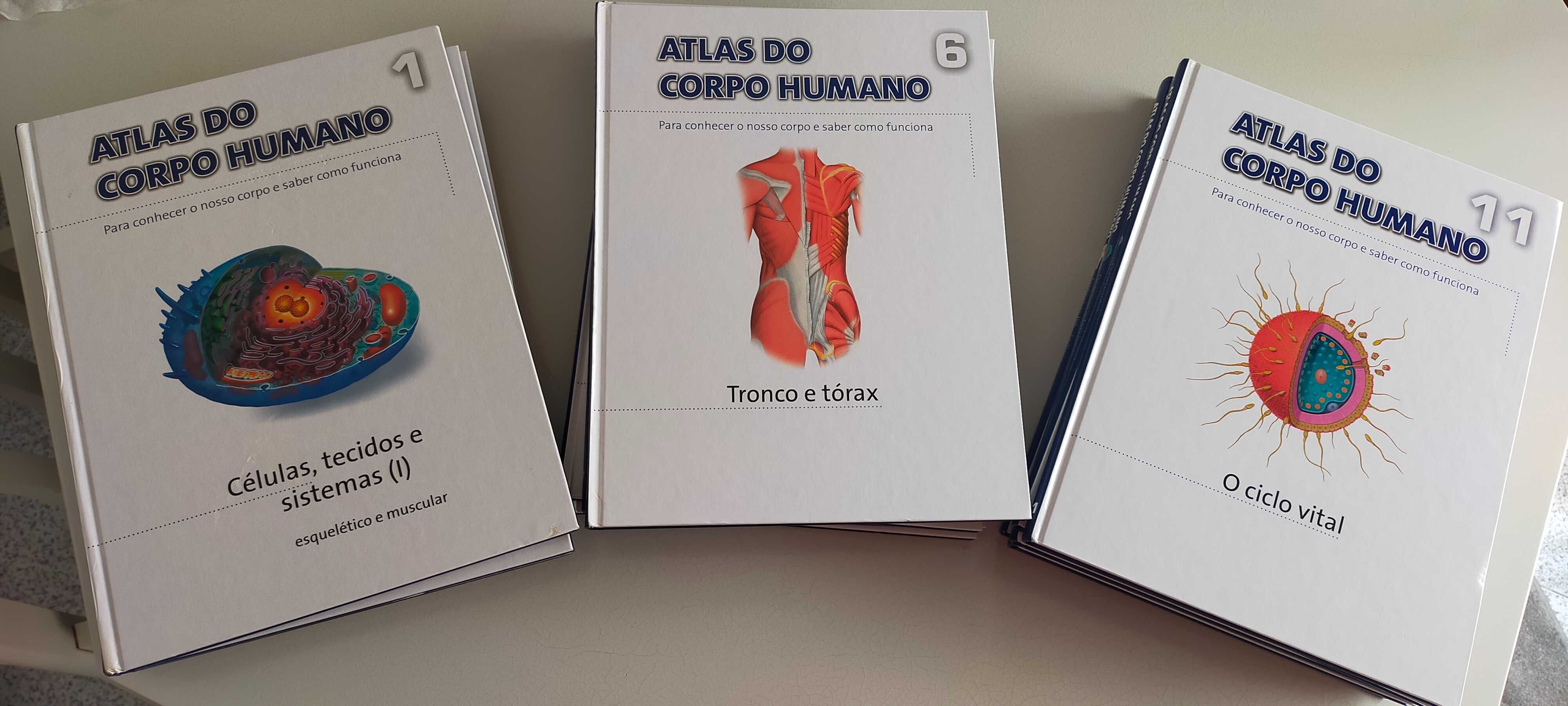 Coleção Atlas do Corpo Humano - 15 Livros