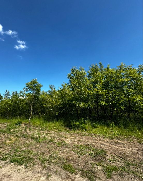 Działka budowlana Wszemirów - Gmina Prusice