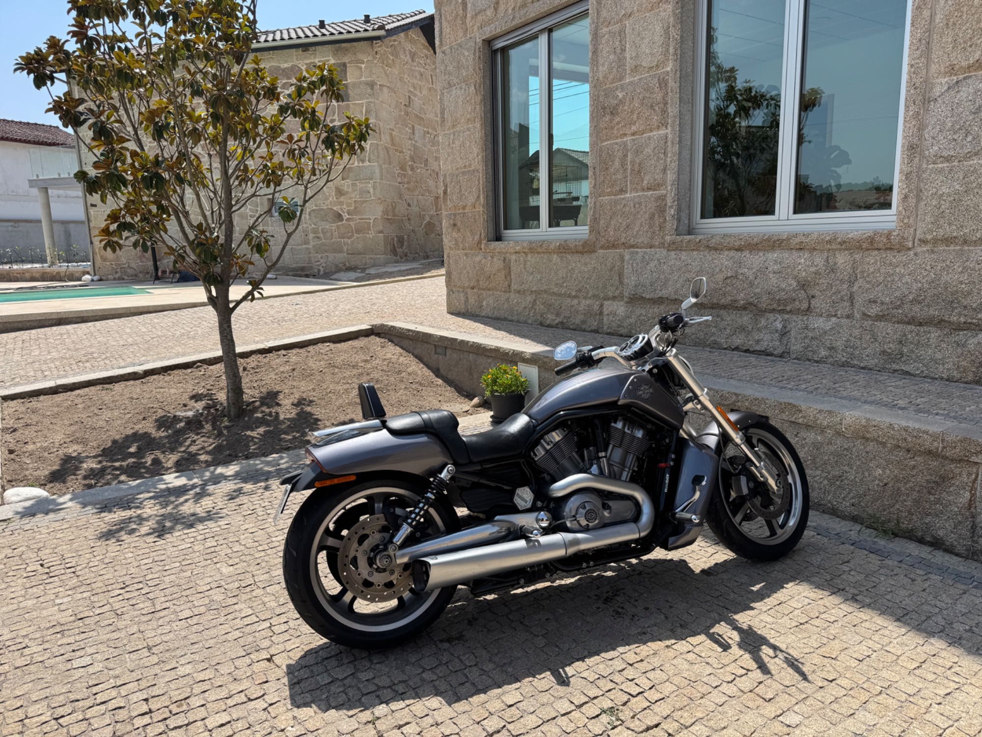 Harley v rod muscle