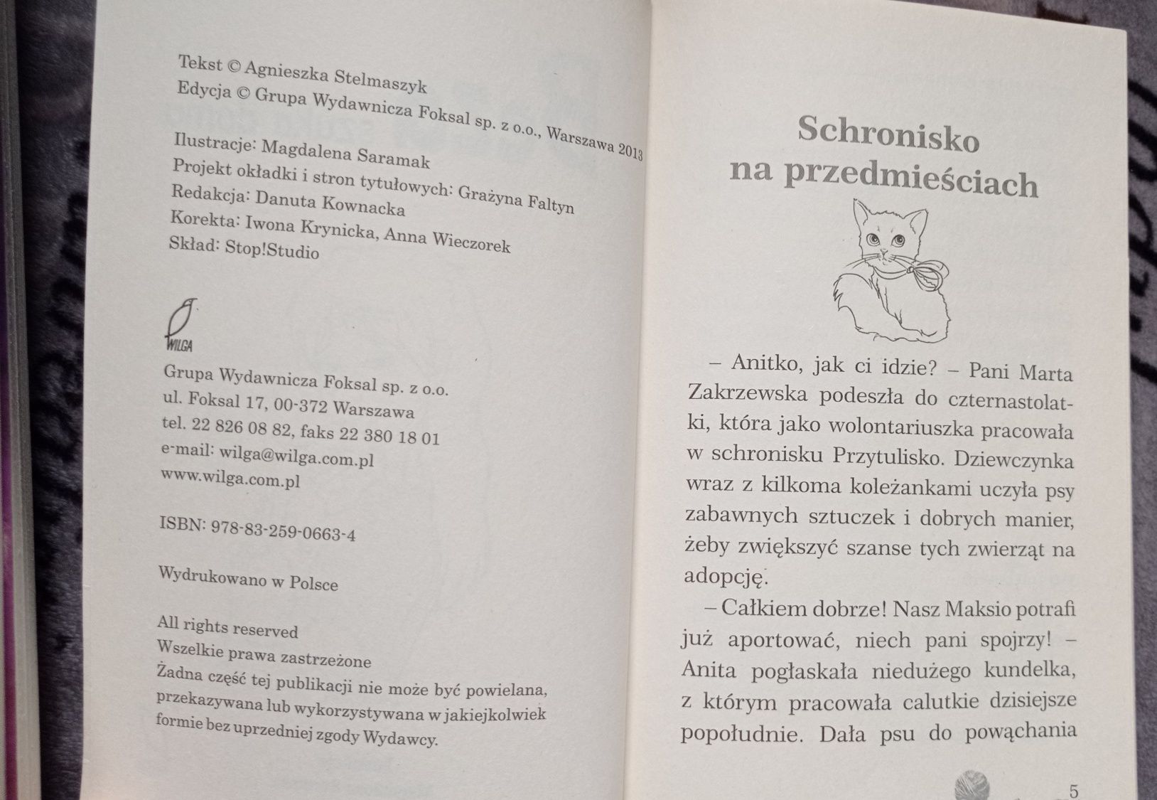 Agnieszka Stelmaszyk - Beza szuka domu - historia o kotku