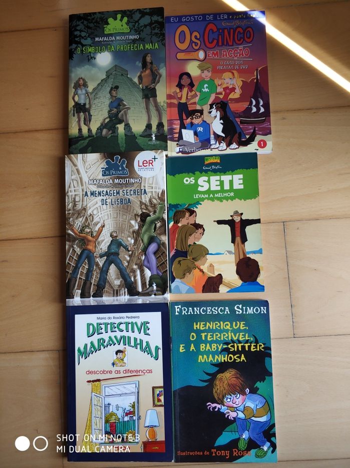 Vários Livros juvenis - os 5, os 7 ... (novos)