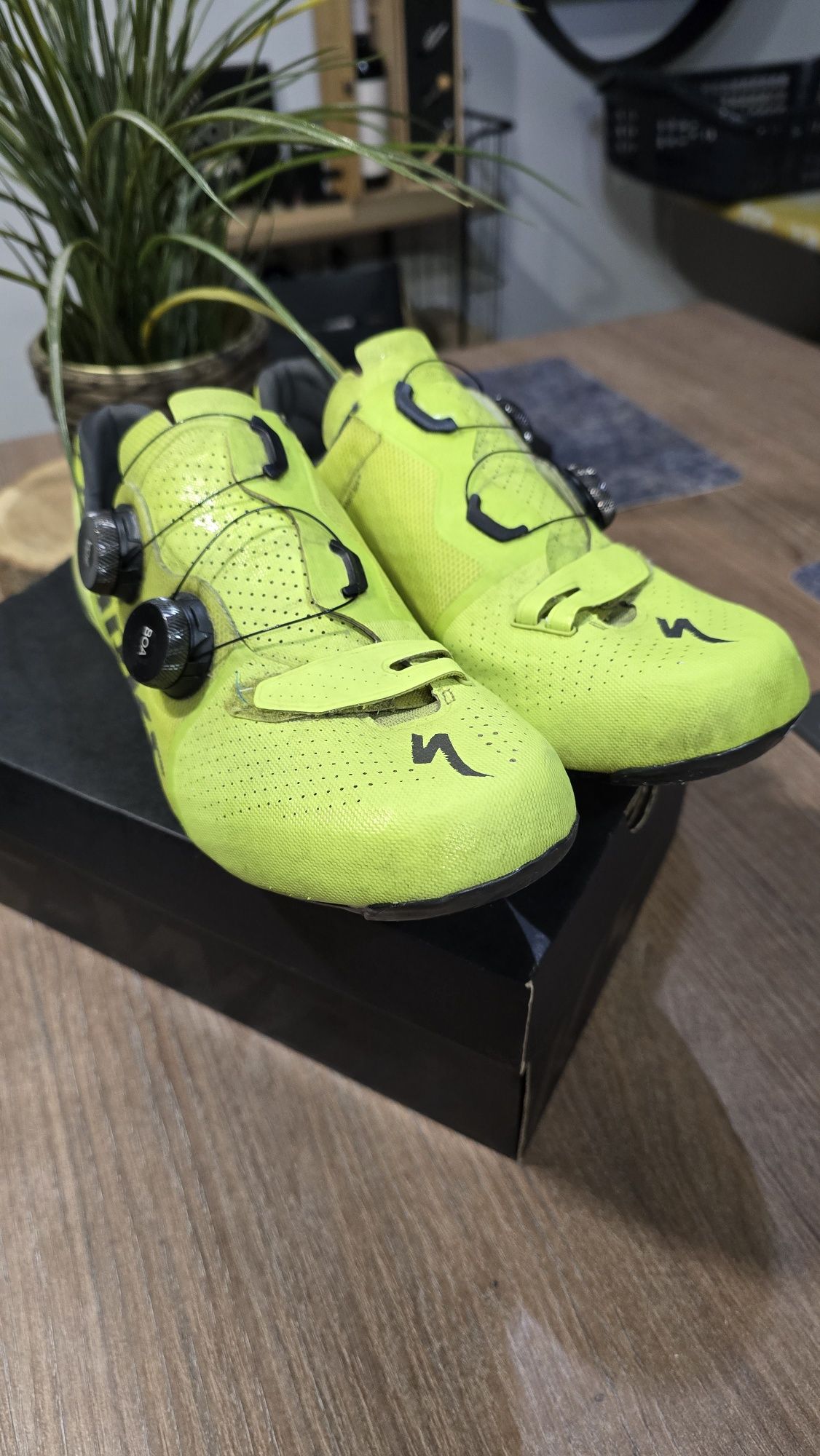 Sapatos Sworks 7 (42)