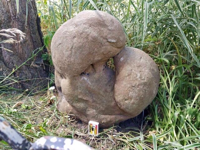 Камінь-Валун « Поцілунок закоханих» для Ландшафтного дизайну.