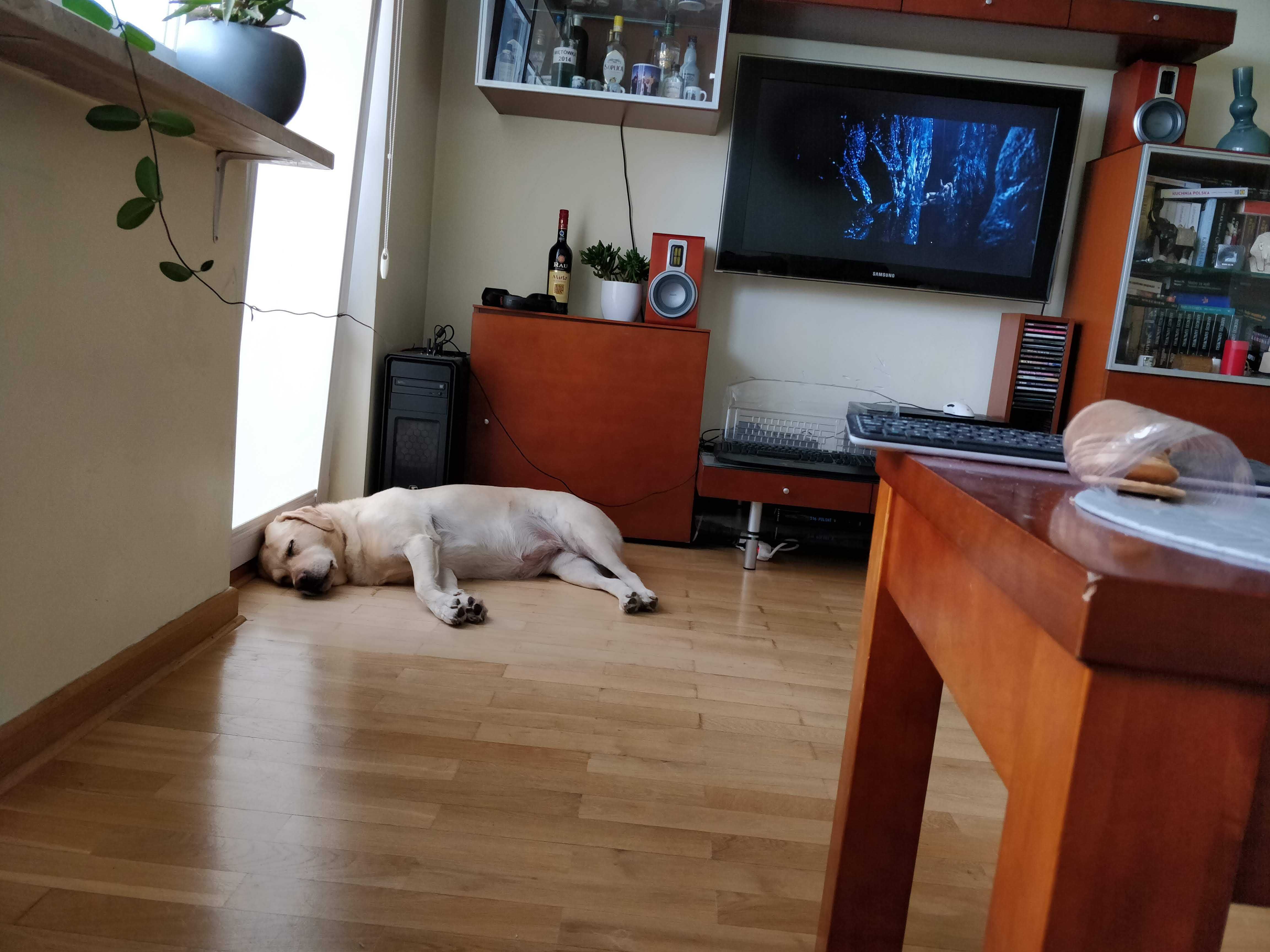 Komplet mebli Bydgoska Fabryka Mebli