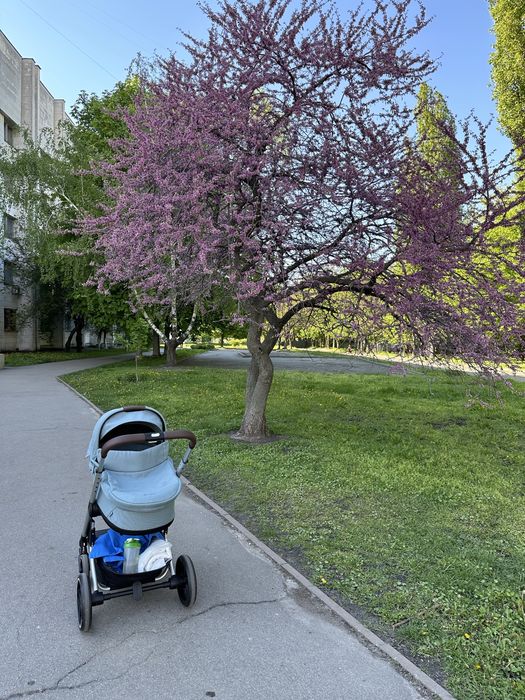 Люлька Cybex Balios S Lux 2023 sky blue