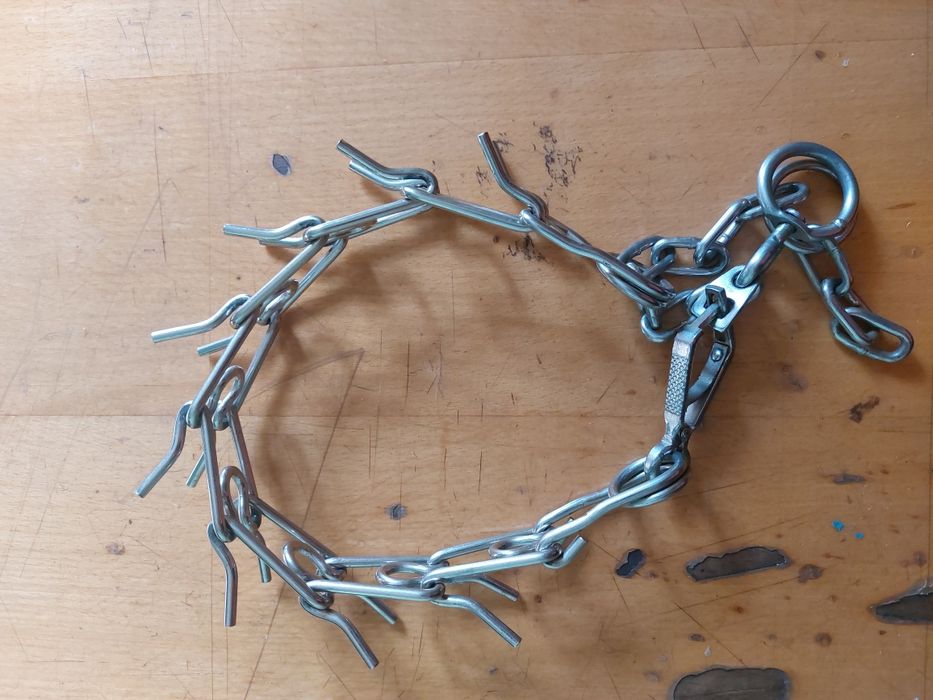 Ошийник для тварин