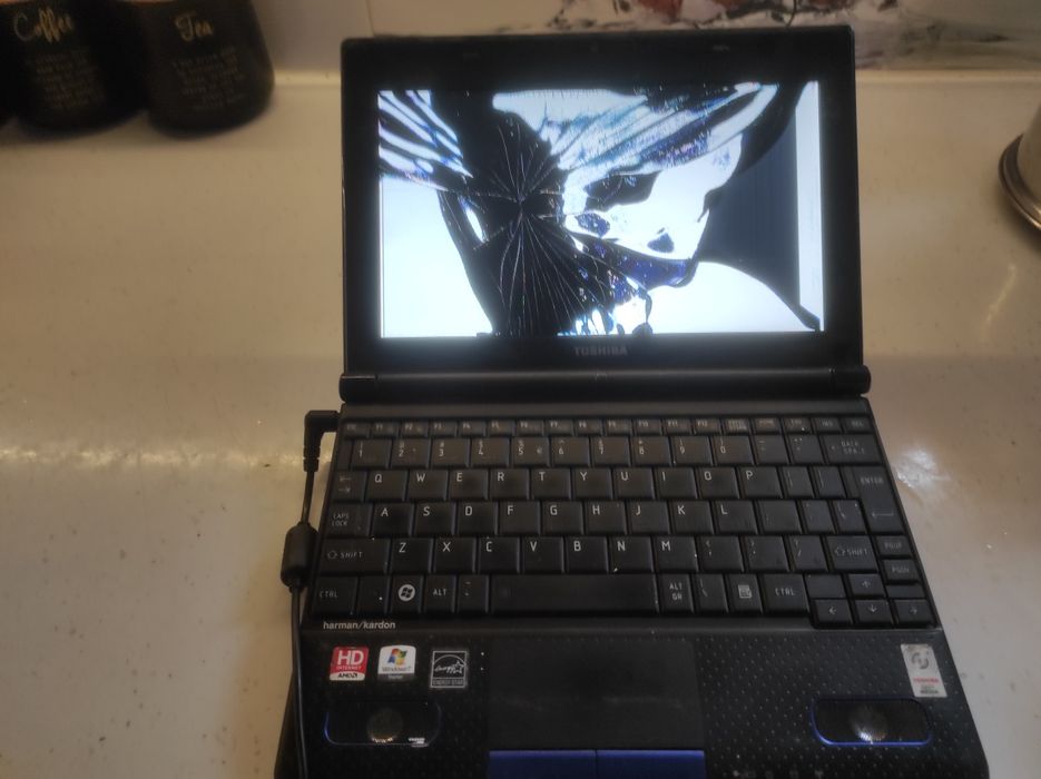 Netbook TOSHIBA to NB550D