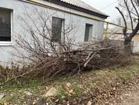 Віддам бескоштоано