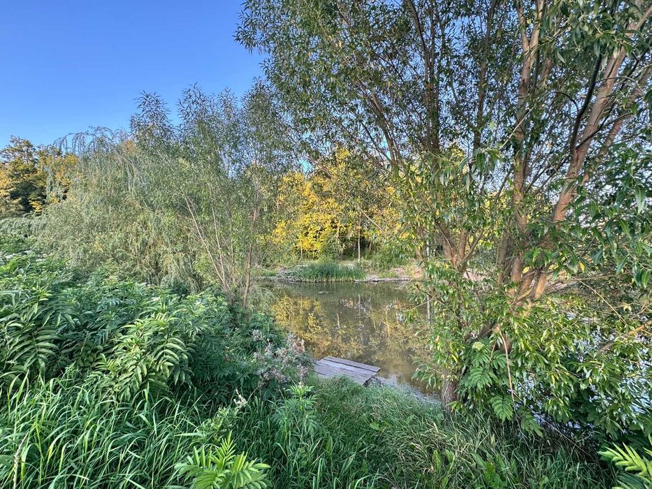 Продаж земельної ділянки в с. Якушинці