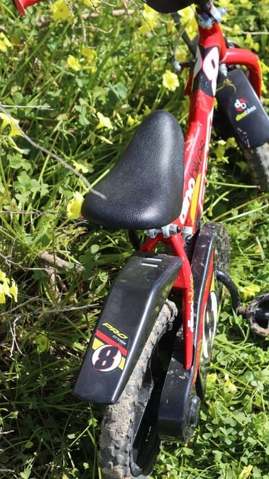 Bicicleta Infantil