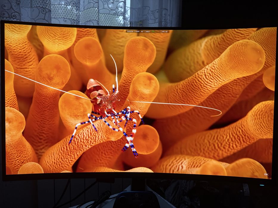 Monitor 4K 240hz QD-OLED Alienware AW3225QF