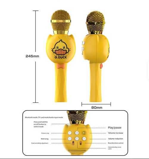 Zestaw Karaoke dla Dzieci + 100 polskich piosenek dla dzieci