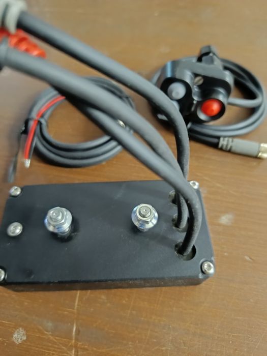 ICO Rally Display and Button Panel64563914690051122