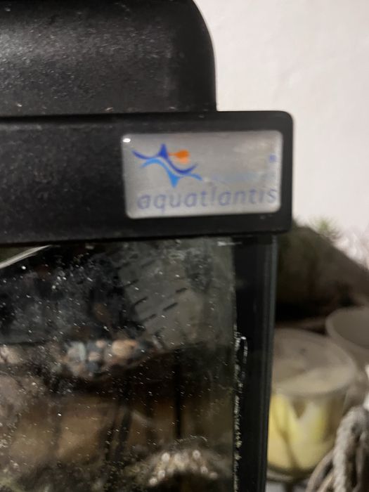 Aquário peixes com 80 cm