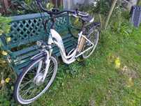 Rower E- bike 200