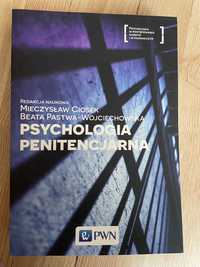 Psychologia penitencjarna Ciosek M., Pastwa-Wojciechowska B.