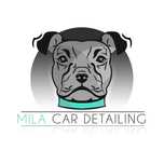 AUTO DETAILING myjnia, pranie tapicerki, polerowanie lakieru, ceramika