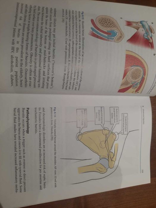 Rheumatology for Primary Care Providers clinical casebook - NOVOS - 2V