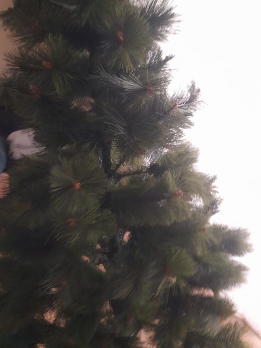 Sosna zielona choinka 190 cm jak prawdziwa