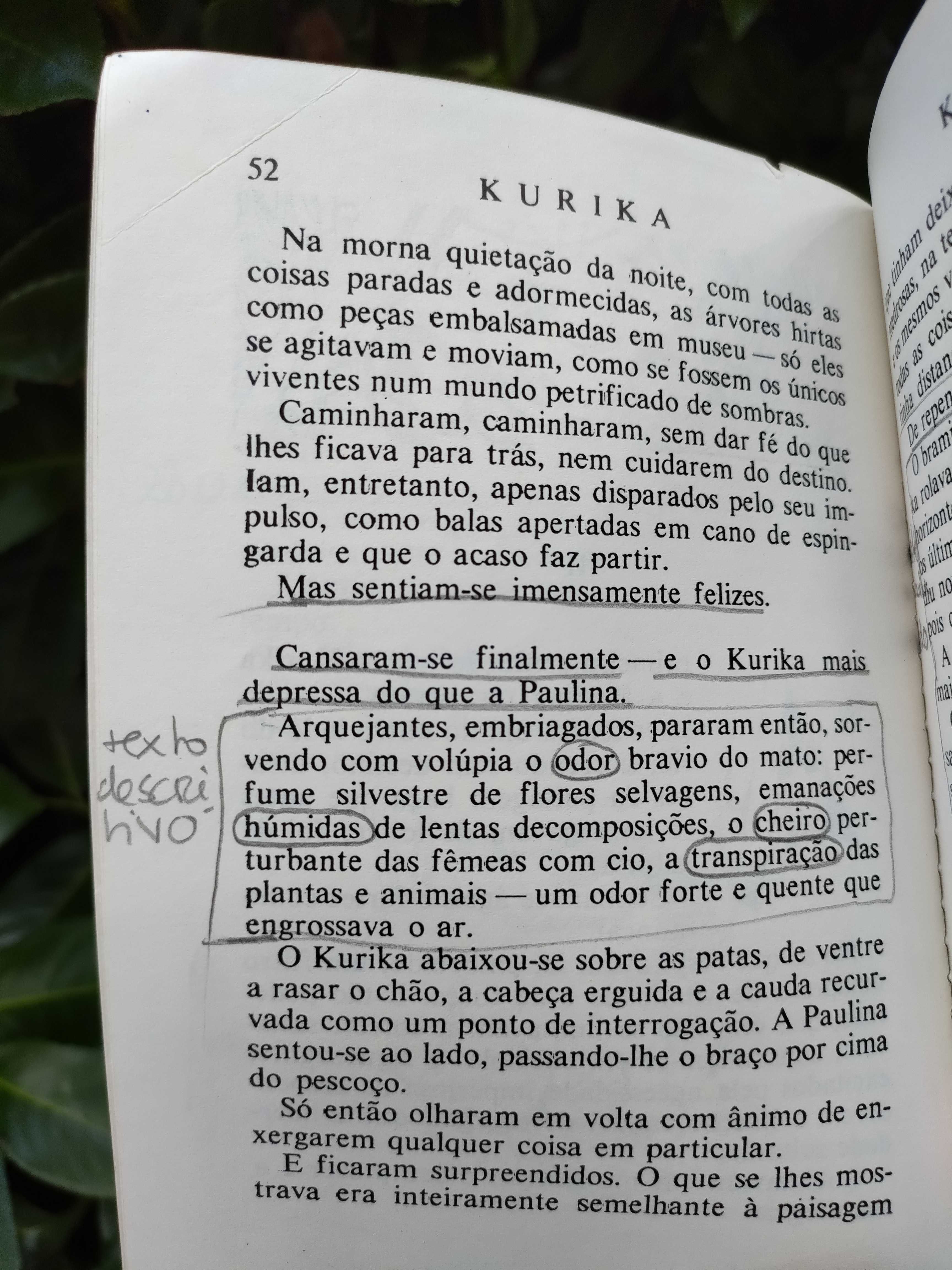 Kurika (Henrique Galvão)