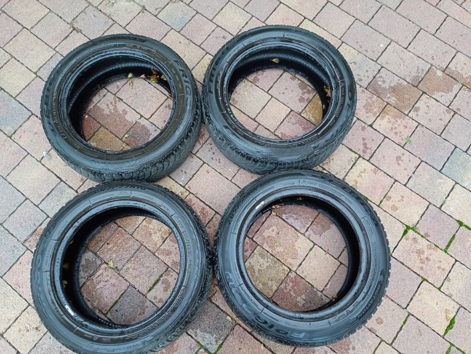 Opony zimowe Dębica Frigo 205/55/16