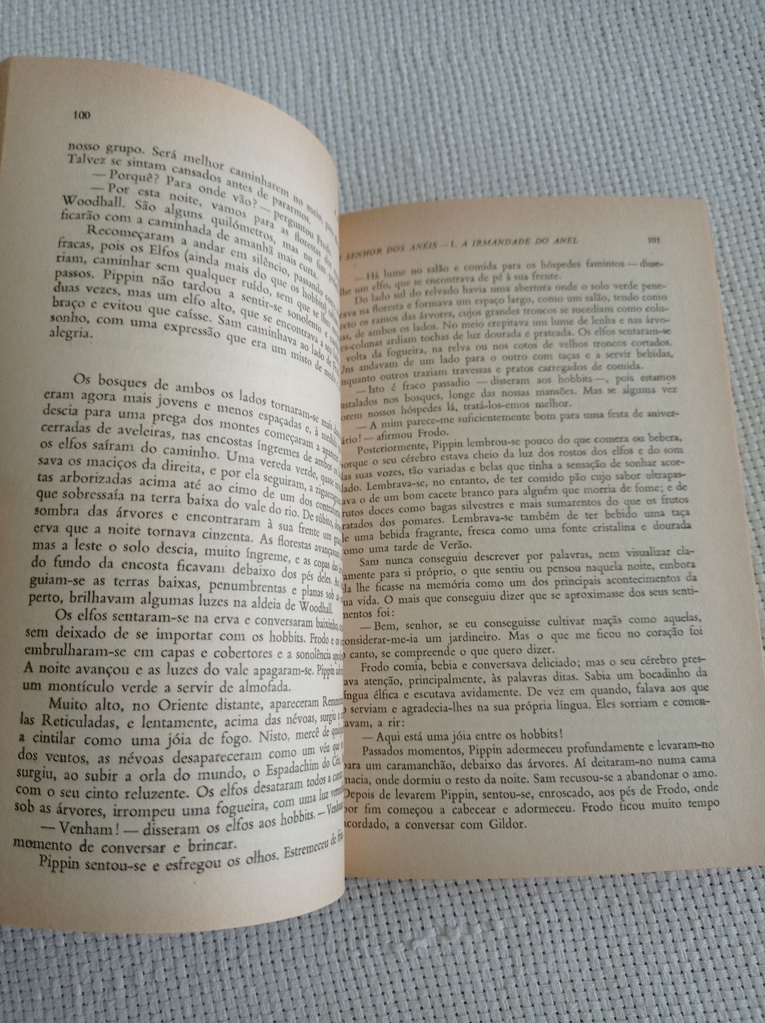 O senhor dos anéis - livro 1 - a irmandade do anel