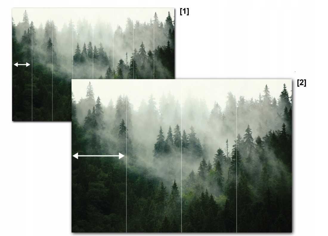 Fototapeta las drzewa natura jesień polana krajobraz 254x184