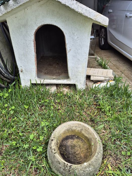 Casota cão porte grande