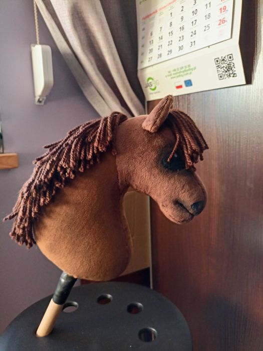 Hobby horse Rdn golony